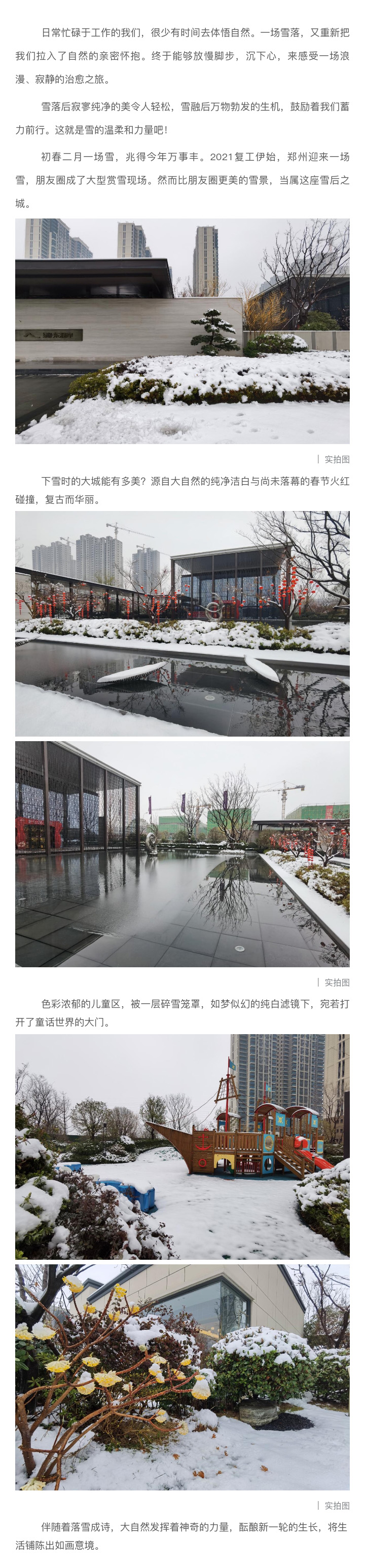 2021浪漫开年，共赏一场鹅毛大雪！