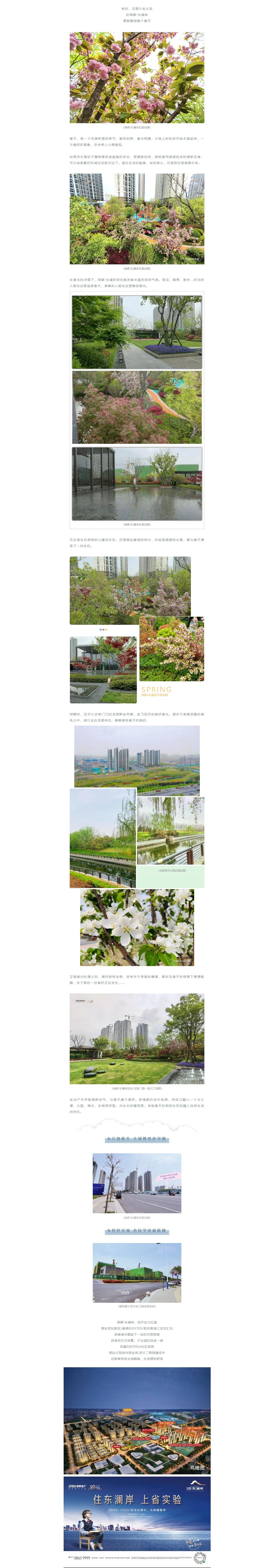 赏花踏青，来一场和春天的约会